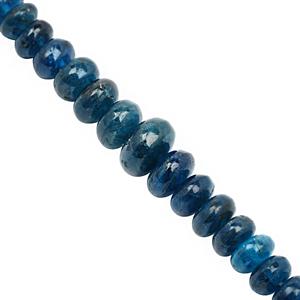 42cts Neon Apatite Graduated Smooth Rondelle Approx 2.5x2 to 8x4.5mm, 16cm Strand