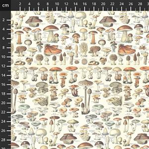 Tim Holtz Eclectic Elements Palette Digital Collection Toadstools Orange Fabric 0.5m