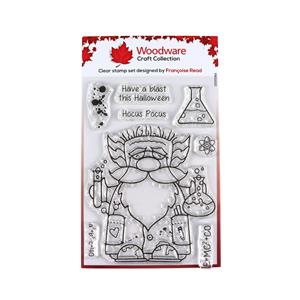NEW Woodware Clear Singles Professor Gnome 4 in x 6 in Stamp Set
