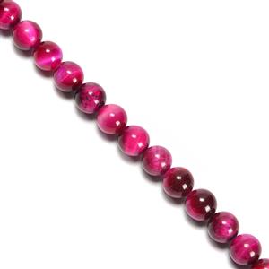 160cts Fuchsia Tiger Eye Plain Rounds Approx 8mm,38cm Strand