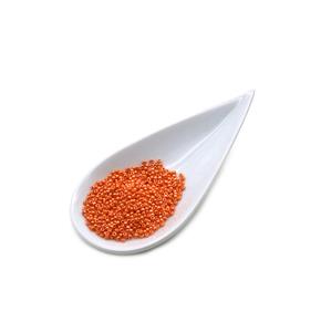 Miyuki Opaque Lt Orange Lustre Seed Beads 11/0 (10GM)