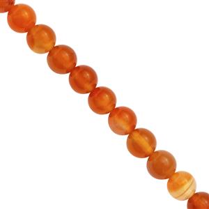 80cts Carnelian Smooth Rounds Approx 8mm, 19cm Strand 
