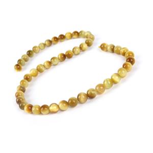 160cts Golden Tiger's Eye  Plain Round Approx 8mm, 36cm Strand