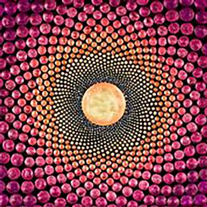 Mindful Mandalas in Pink Globe Sunflower Panel 1.09m