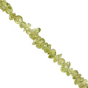310cts Arizona  Peridot Bead Nugget Approx 2.5x1.5 to 8x3mm, 100inch Strand