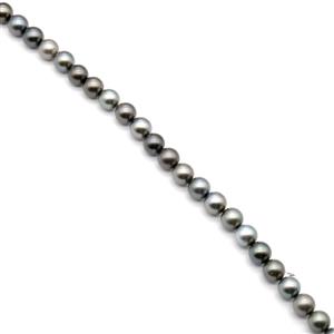 Tahitian Cultured Near Round Pearls Approx 11mm, 35cm strand