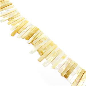 White & Gold Shell Graduated Bars Approx 6x35-8x55mm, 38cm Strand