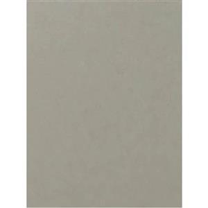 A4 Card Silver 270gsm Pack of 10