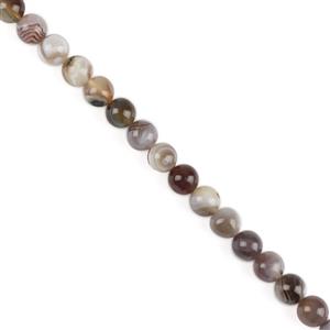 255cts Botswana Agate Plain Rounds, Approx 10mm,38cm Strand