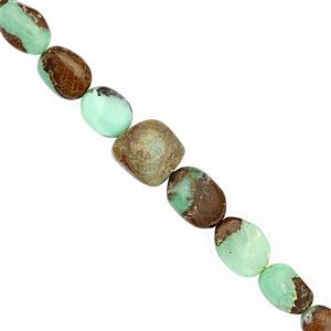 135cts Chrysoprase Smooth Tumble Approx 10x7 to 16x13mm, 25cm Strand