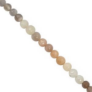 72cts Multi-Colour Moonstone Faceted Round Approx 5 to 6mm, 32cm Strand