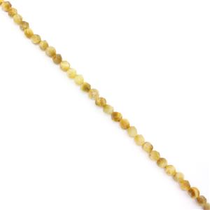 60cts Golden Tiger Eye Star Cut Rounds Approx 6mm, 38cm Strand