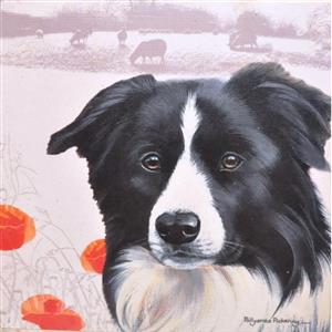 Polyanna Pickering Box Canvas of a Border Collie in Poppies 30x30cm