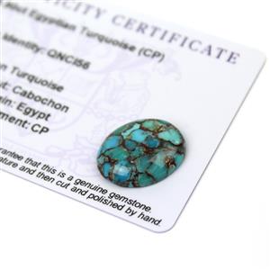 8.9cts Egyptian Turquoise 20x16mm Oval  (CP)