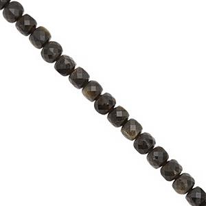 70cts Golden Obsidian Faceted Cube Approx 4.5 to 5mm 38cm Strand