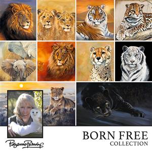 Pollyanna Pickering's Born Free Anniversary Digital Collection