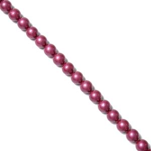 Pale Raspberry Shell Plain Rounds Approx 10mm, 38cm Strand
