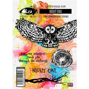 Visible Image Night Owl Stamp Set
