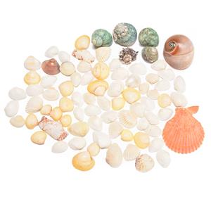 Mixed Shaped Shell Scoop, Drilled, Approx. 200g 