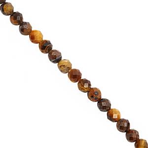 18cts Tigers Eye Faceted Round Approx 2.50mm, 40cm Strand