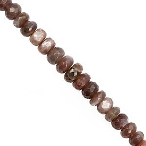 95cts Chocolate Moonstone Graduated Faceted Rondelle Approx 6x3 to 9x6mm, 21cm Strand