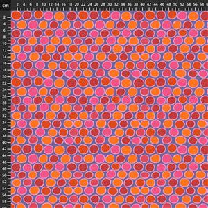 Kaffe Fassett Collective Penny-wise Red Fabric 0.5m