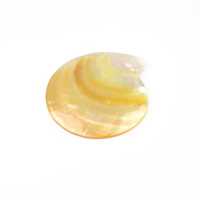 Golden South Sea Shell Pendant, Approx 85x80mm