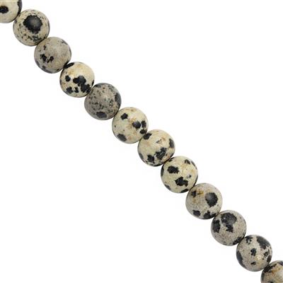 45cts Dalmatian Jasper Plain Rounds Round Approx 4 to 7mm 30cm Strand