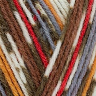 WYS Robin Signature 4 Ply Yarn 100g