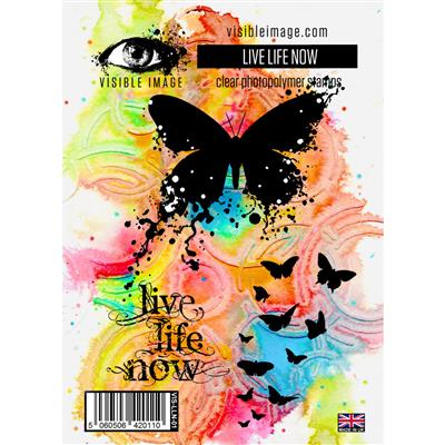 Visible Image Live Life Now Stamp Set