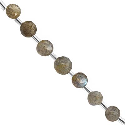 25cts Labradorite Faceted Onion Approx 4x5 to 7x6mm 20cm Strand With Spacers