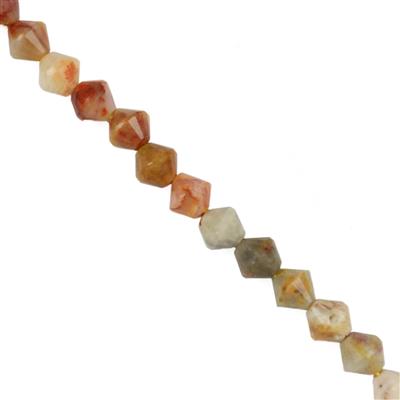 80cts Crazy Lace Agate  Faceted Bicones, Approx 6mm, 38cm Strand