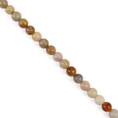 250cts Fossil Jasper Plain Rounds Approx 10mm, 38cm Strand 
