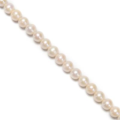 White Freshwater Cultured Near Round Pearls Approx. 8-10mm, 38cm Strand