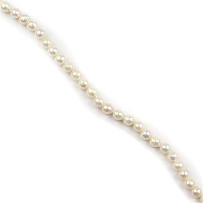 Cream Baroque Akoya Pearls Approx 7-8mm, 40cm Strand