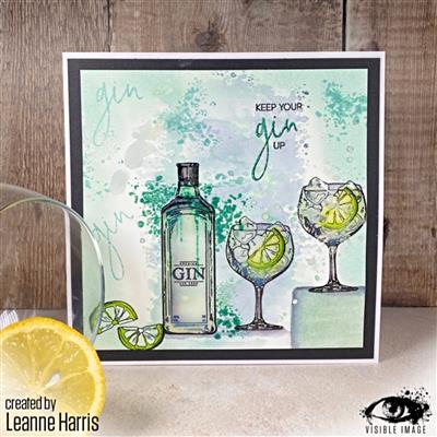 Visible Image Keep Your Gin Up Stamp Set