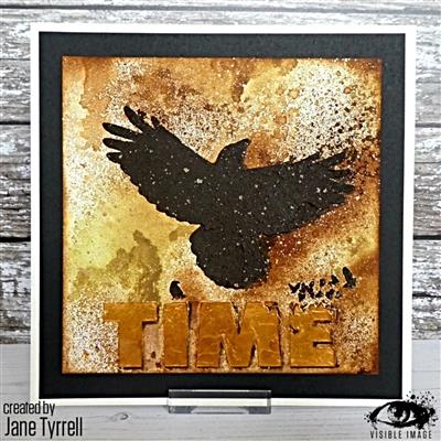 Visible Image Time Flies Stencil