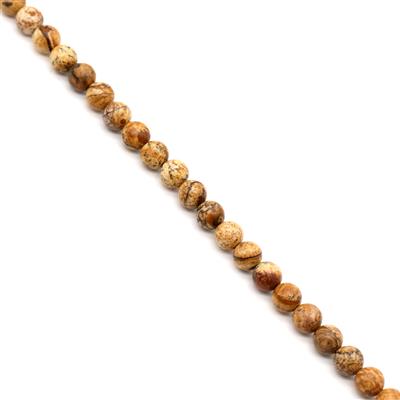 280cts Picture Jasper Plain Rounds Approx 6mm, 1 Meter Strand