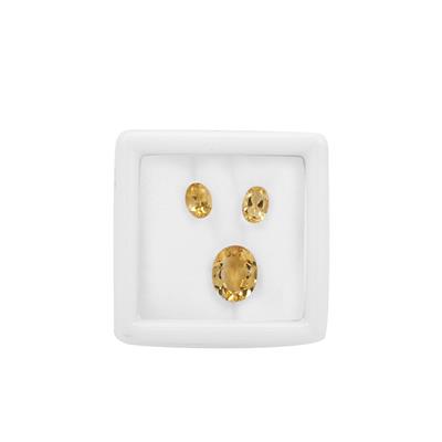3.50cts Citrine Brilliant Oval Approx 7x5 to 11x9mm Loose Gemstones (Pack of 3)