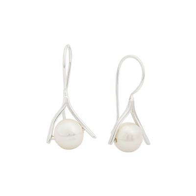 925 Sterling Silver Pinch Bail Earrings with 8mm White Cultured Pearls, Approx 28x8mm