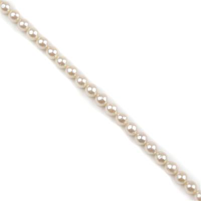 High Lustre Cream Baroque Akoya Pearls Approx 7-8mm, 40cm Strand