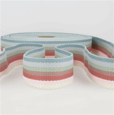 Webbing Multi-Coloured Vintage Stripes 40mm x 1m 