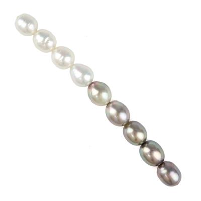 White South Sea & Tahitian Ombre Baroque Pearls, Approx 9-10mm, 10cm Strand 