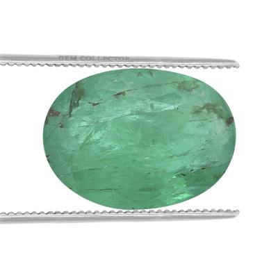 0.6cts Zambian Emerald 7x5mm Oval  (O)