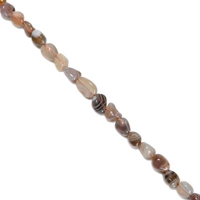 75cts Botswana Agate Tumbled Small Nuggets Approx 6x8mm, 38cm Strand