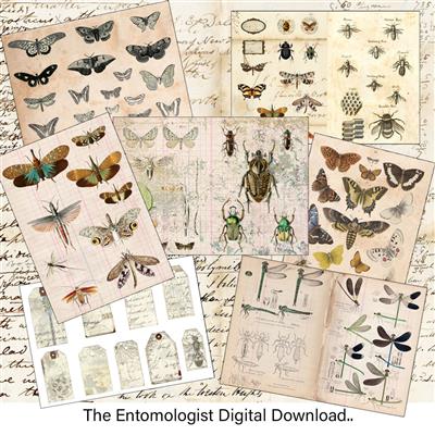 Janie's Originals - The Entomologist Digital Download. 40 images