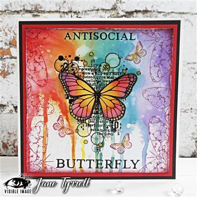 Visible Image Antisocial Butterfly Stamp Set
