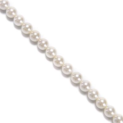 White 8mm Shell Pearl Rounds, 38cm Strand