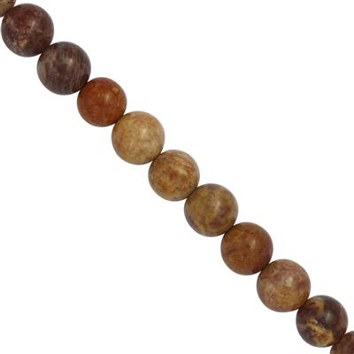 85cts Crazy Lace Agate Smooth Round Approx 7 to 8mm 19cm Strands 