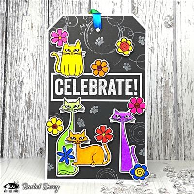 Visible Image Birthday Wishes Stamp Set
